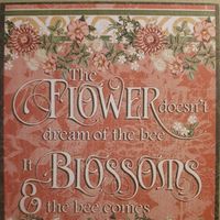 Johanna Goldenberg's profile image