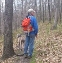 Terry Okeefe's profile image