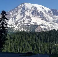 Lynn Ventura's profile image