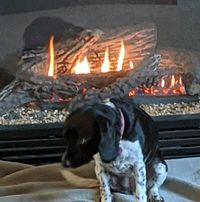 Jay Tanguay's profile image