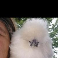 Mary Webb's profile image
