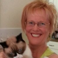 Jeanna McIntyre's profile image