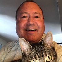 Jennifer Stachura's profile image