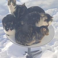 Larry Jay's profile image