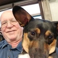 Richard Bingham's profile image