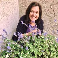 Mary Pat Changus's profile image