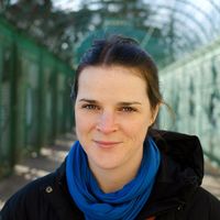 Komie Ânkis's profile image