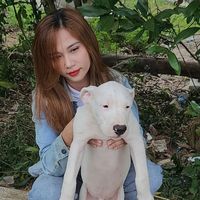 Aivar Viira's profile image