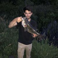 Zack Demello's profile image