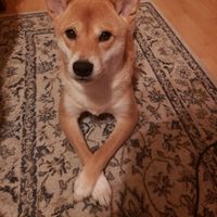Weiner Fuentes's profile image