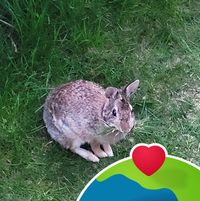 Cindy Durette's profile image