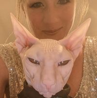 Kristin Teves's profile image