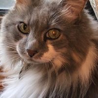 Margaret Conner's profile image