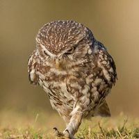 Sylvia Baker's profile image
