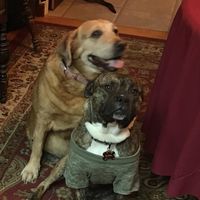 Judi Schneider's profile image