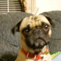 Loretta Dunn Makinson's profile image