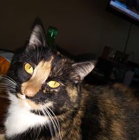 Deb Cavanah's profile image