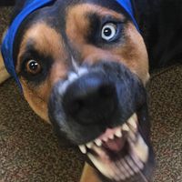 Eric Young's profile image