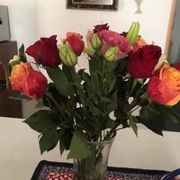 Mary Ann Brown Wofford's profile image