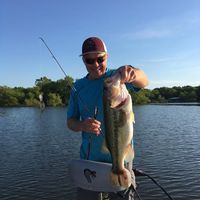 Mark Franklin's profile image