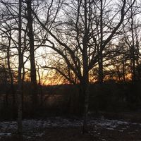 Cheryl Calef's profile image