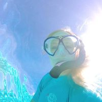 Kari Kopat's profile image