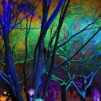 Sue Johnston's profile image