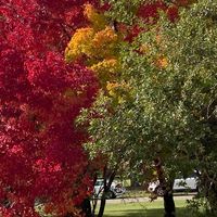 Doris Lepine-petit's profile image