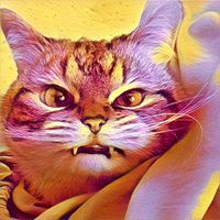 Bethany Honkala's profile image