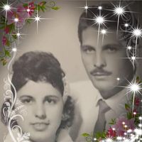 Mari Rosa Ruiz's profile image