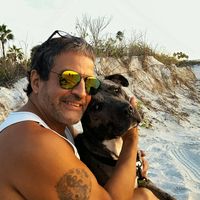 Robin Vergara's profile image