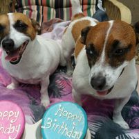 Jill Kennedy's profile image