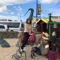 Ginny Gately's profile image