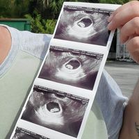 Melissa Niehaus's profile image