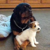 Sharon Gilb's profile image