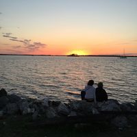 Molly Jean Terry's profile image