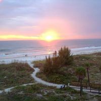 Laura Loney's profile image