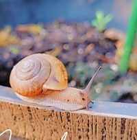 Stefani Carroll's profile image