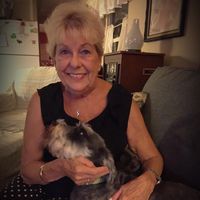 Donna Pantelmann's profile image