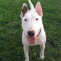 Judy L Morgan's profile image