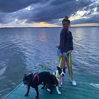 Ashley Dee's profile image