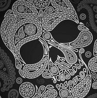 Judy Wedekind's profile image