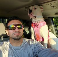 Miguel Cuevas's profile image