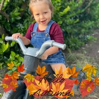 Brenda Keller Grace's profile image