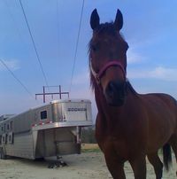 Sharon Jessup Kirby's profile image