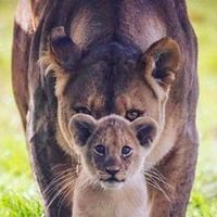 Peggy Bobby Crutsinger's profile image