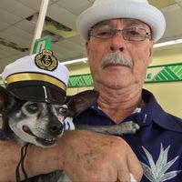 Phil Ryan's profile image