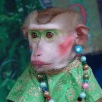 Brenda Edgar Howard's profile image