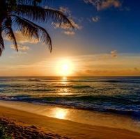 Bridgett Michelle's profile image