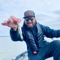 Charles Darnall's profile image